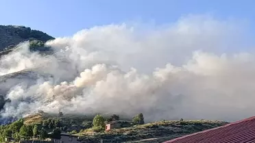 Bingöl'de Orman Yangını Kontrol Altına Alındı