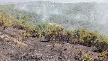 Bingöl'de Orman Yangını Kontrol Altına Alındı