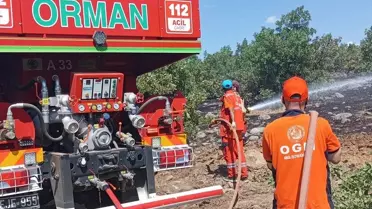 Bingöl'de Orman Yangını Söndürüldü