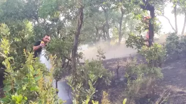 Bingöl'de Orman Yangını Söndürüldü