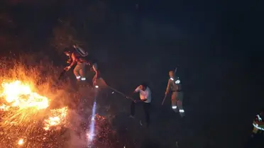 Bingöl'de Orman Yangını Söndürüldü