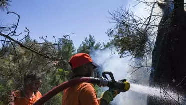 Ormancılar İzmir'deki Yangınla Mücadele Ediyor