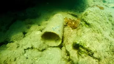 Bodrum'da Deniz Dibi Temizliği Yapıldı