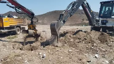 Bodrum'da Ölü Yunus Bulundu