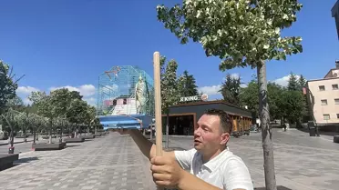 Mavi Papağan Yakalandı