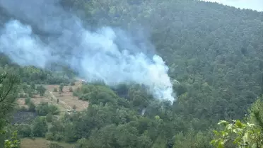 Bolu'da Orman Yangını