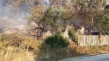 Mudurnu'da Orman Yangınına Mücadele