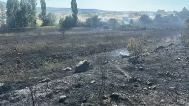 Bilecik'te Anız Yangını Kontrol Altına Alındı