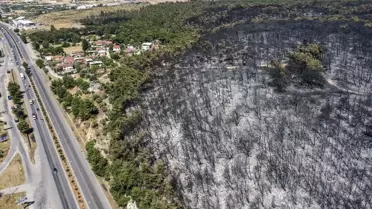 İzmir'de Orman Yangını Kontrol Altında