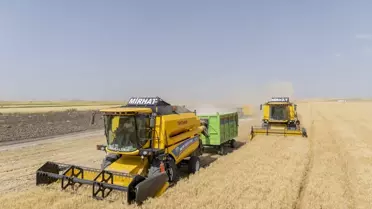 Kaymakam Koşansu Buğday Hasadına Katıldı