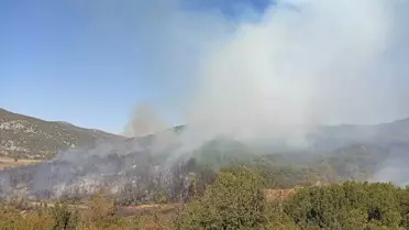Burdur'da Orman Yangını Kontrol Altına Alındı