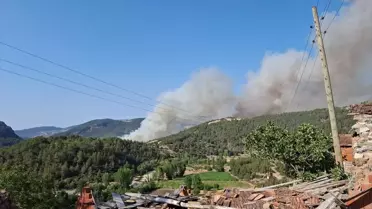 Bursa-Balıkesir Sınırında Orman Yangını