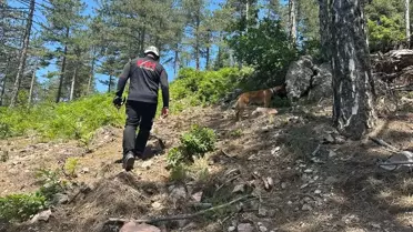 Kayıp Çocuk Bulundu