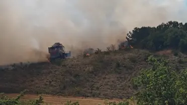 Bursa'da Anız Yangını Ormana Sıçradı