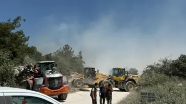 Bursa'da Orman Yangını Kontrol Altında