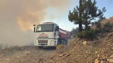 Orhaneli'nde Orman Yangını