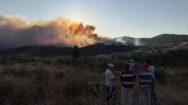 Bursa'da Orman Yangını