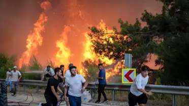Bursa'da Orman Yangını