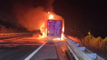 İstanbul-İzmir Otoyolu'nda Kamyon Yangını