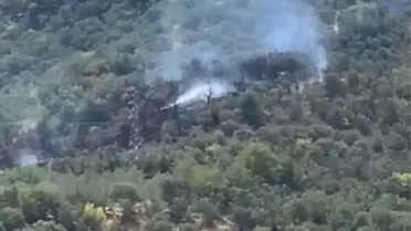 Mudanya'da Zeytinlik Yangını Söndürüldü