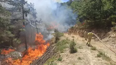 Bursa'da Orman Yangınına Havadan ve Karadan Müdahale