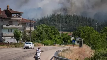 Bursa'da Orman Yangını Kontrol Altında