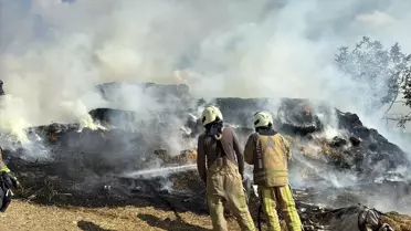 Büyükçekmece'de Ahırda Yangın