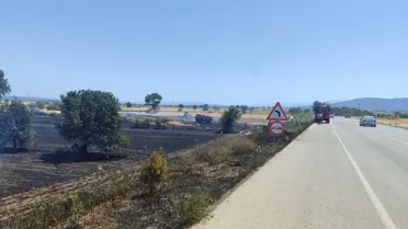 Bayramiç'te Zirai Alan Yangını Kontrol Altına Alındı