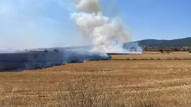 Gelibolu'da Anız Yangını Söndürüldü