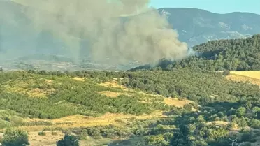 Çanakkale'de Orman Yangını Kontrol Altına Alındı