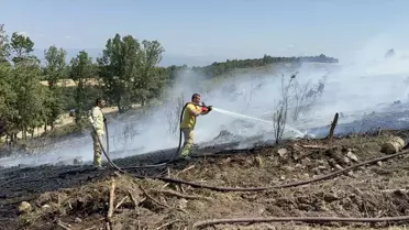 Çanakkale'de Orman Yangını Kontrol Altına Alındı