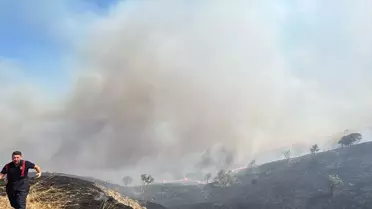 Çanakkale'de Yangın: 250 Dönüm Zarar