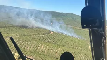 Çanakkale'de Yangın Kontrol Altına Alındı