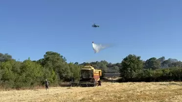 Çan'da Tarım Alanında Yangın