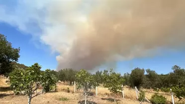 Gelibolu'da Tarım Arazisinde Yangın