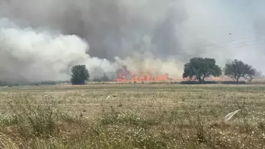 Çanakkale'de Tarım Arazisinde Yangın