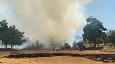 Çanakkale'de Orman Yangını Kontrol Altına Alındı