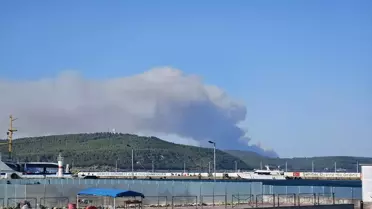 Çanakkale'de çıkan orman yangını büyüdü! 5 köy tahliye edildi