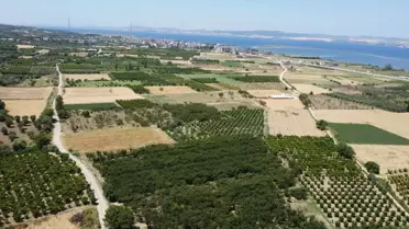 Lapseki Kirazı İle Ekonomiye Katkı