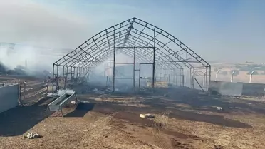 Çerkeş'te Yangın: 100 Dekar Arazi Zarar Gördü