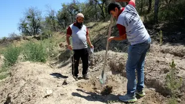 Çankırı'da Her Bebek ve Çift İçin Fidan