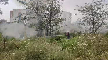 Çarşamba'da Sazlık Yangını Söndürüldü