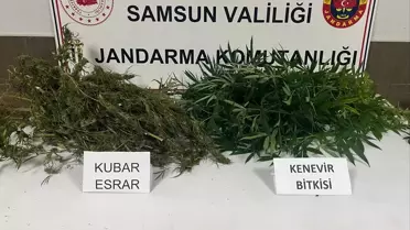 Samsun'da Uyuşturucu Operasyonu