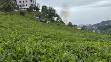 ÇAYKUR'dan Yeni Çay Ürünleri Müjdesi