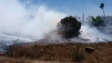 Ceyhan'da Boş Arazide Yangın Çıktı