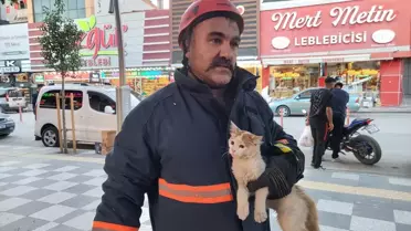 Ağaçta Mahsur Kalan Kedi Kurtarıldı
