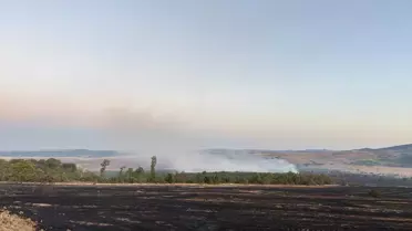 Çorum'da Orman Yangınına Müdahale