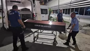 Düşme Sonucu Yaralanan Yaşlı Adam Hayatını Kaybetti