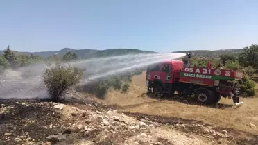 Kargı'da Orman Yangını Kontrol Altında