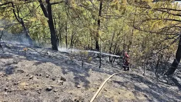 Çorum'da Orman Yangınına Müdahale Sürüyor